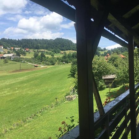 B&B Cerne Polhov Gradec Esterno foto