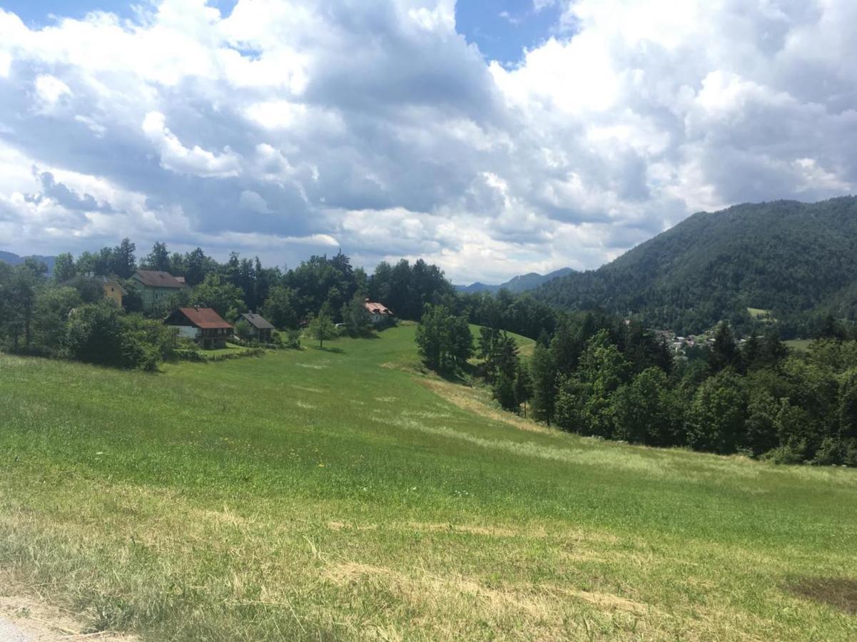 B&B Cerne Polhov Gradec Esterno foto