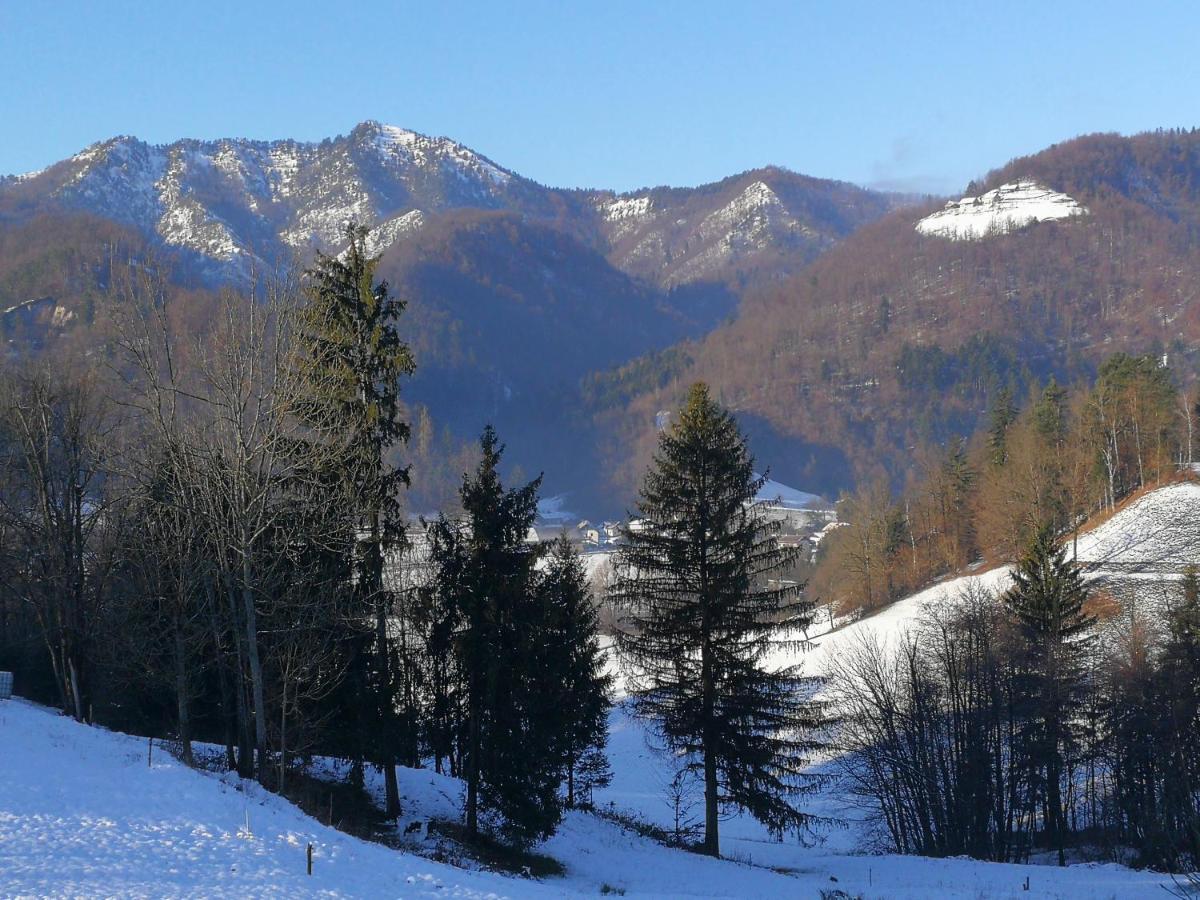 B&B Cerne Polhov Gradec Esterno foto