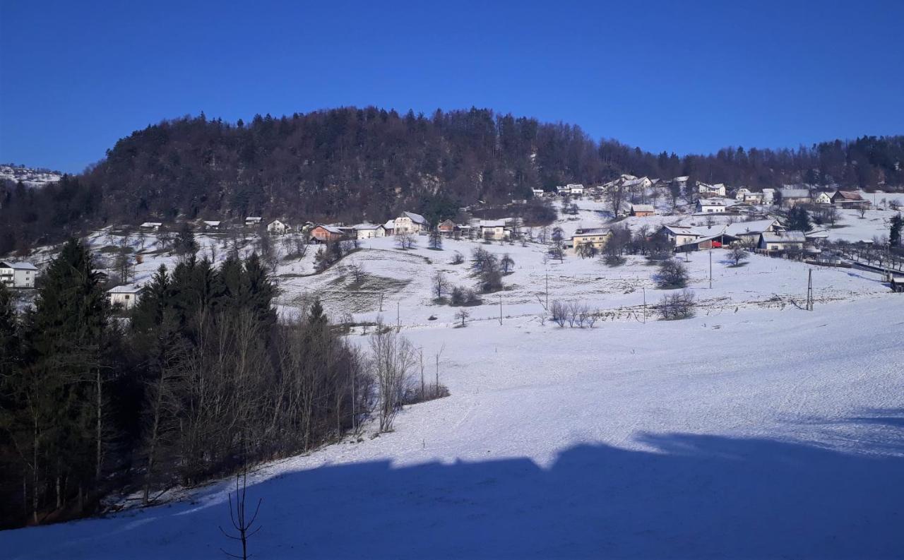 B&B Cerne Polhov Gradec Esterno foto