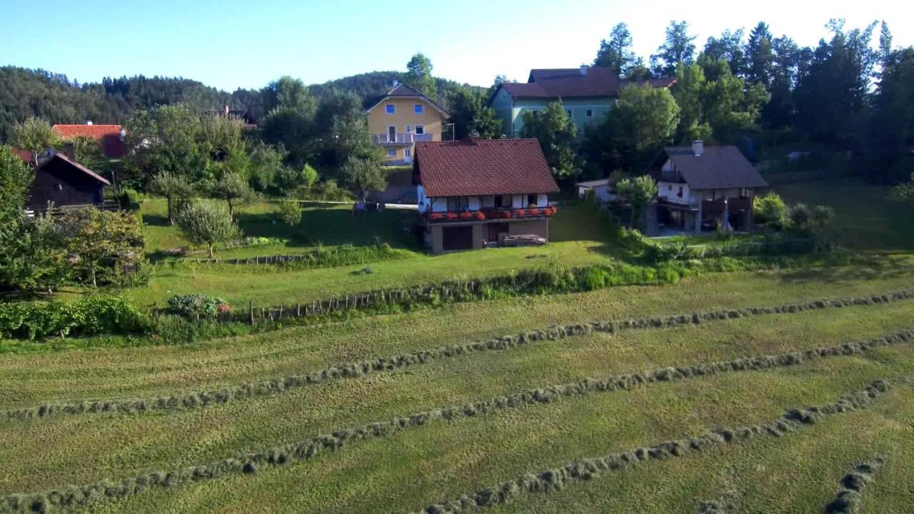 B&B Cerne Polhov Gradec Esterno foto
