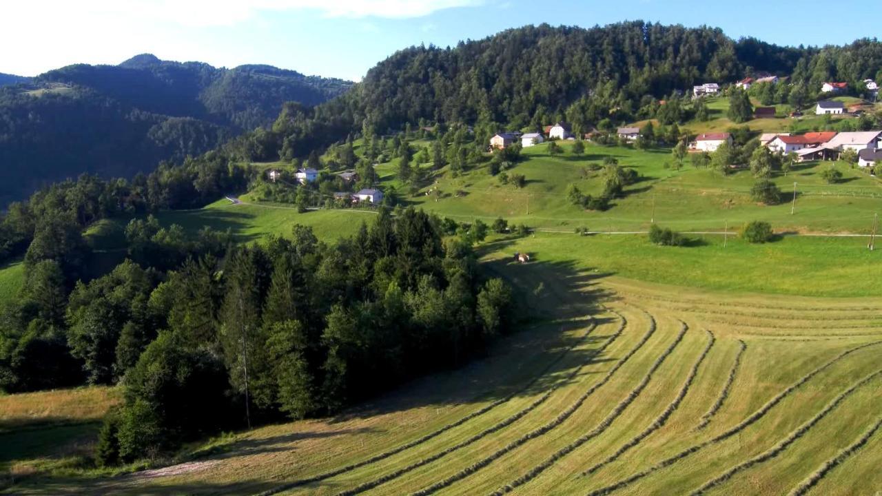 B&B Cerne Polhov Gradec Esterno foto